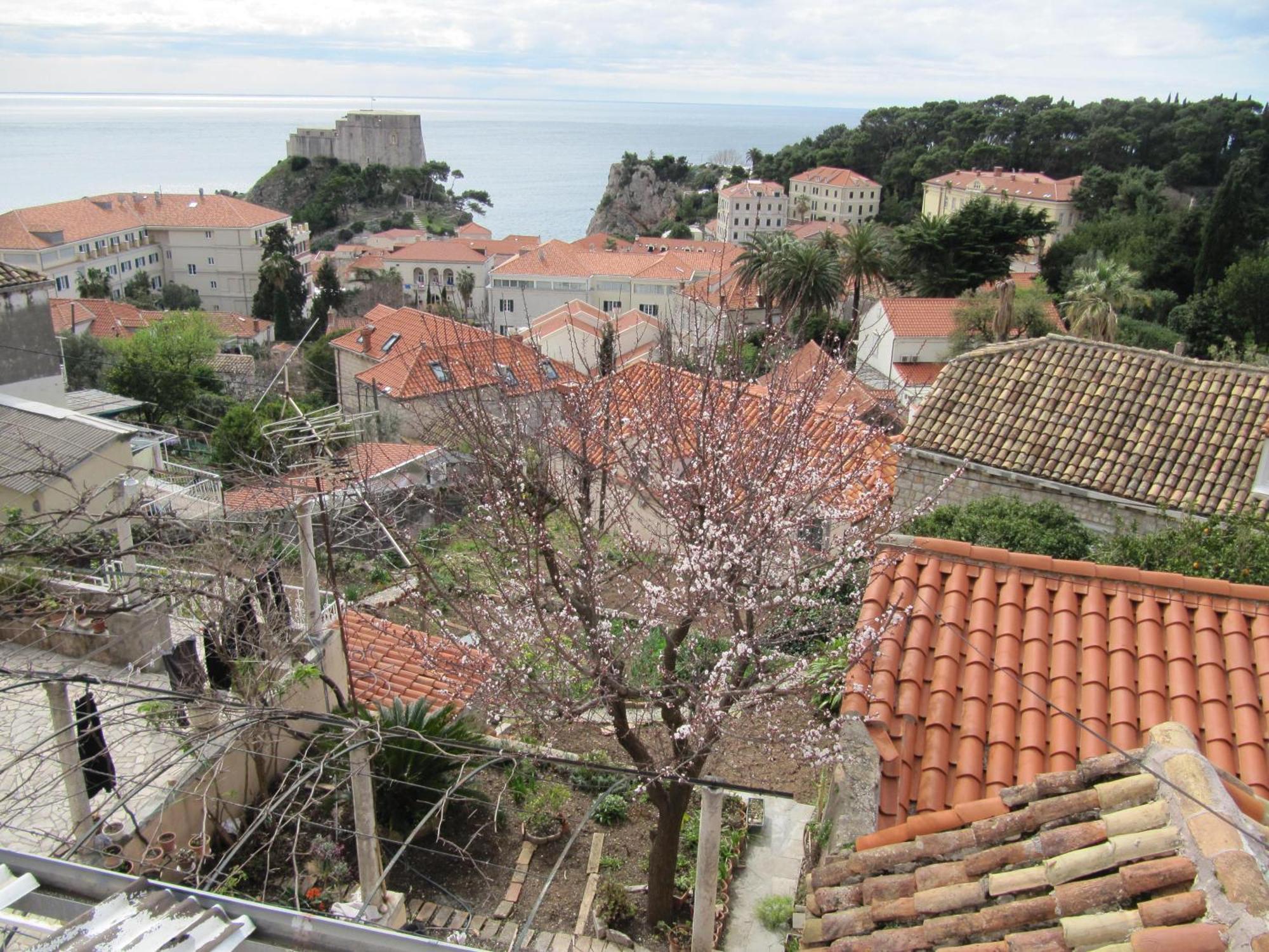 Room & Apartment Saint John Dubrovnik Eksteriør bilde